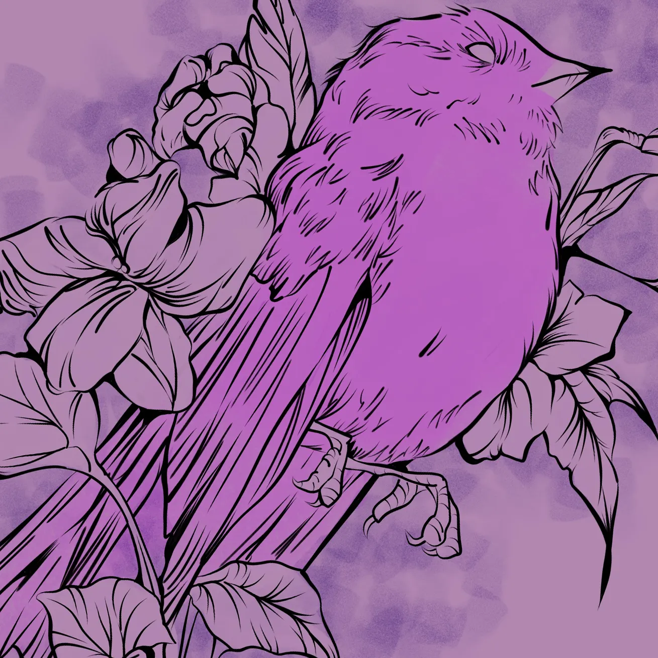 Sparrow